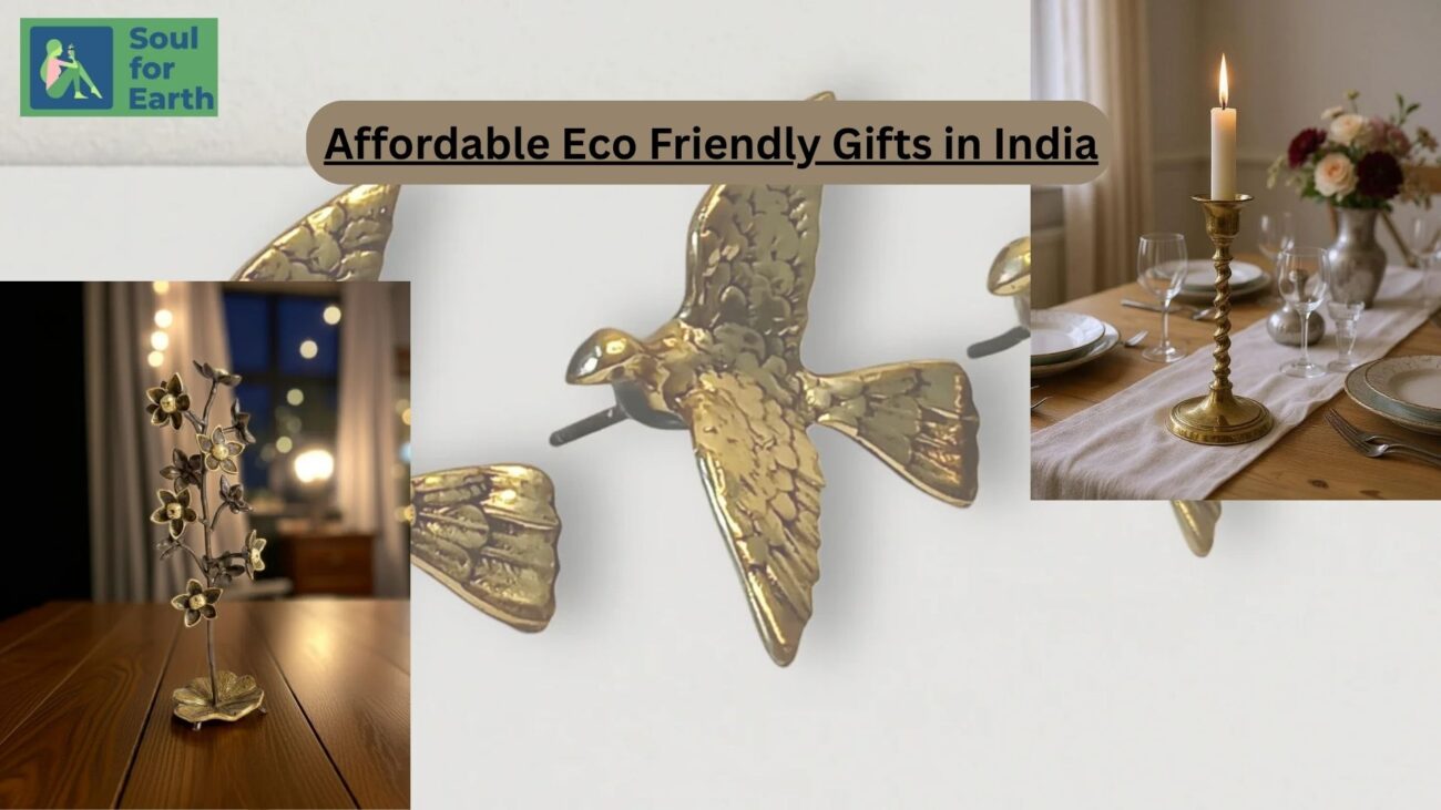 Affordable Eco Friendly Gifts in India